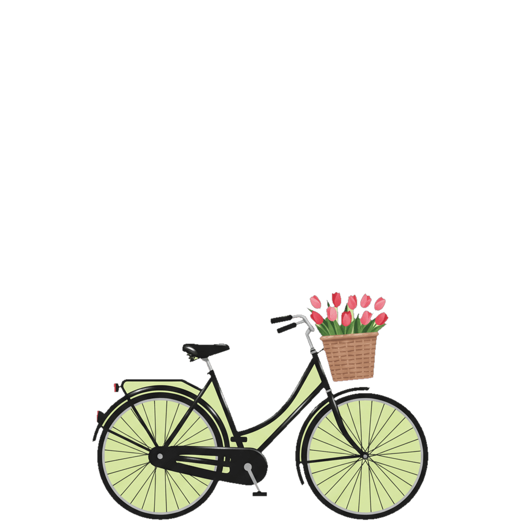 Amsterdam travel photo book cover, themed with the bicycle with tulips
